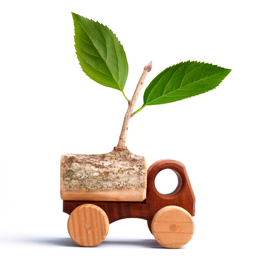 Gift Your Kid Eco-Friendly toys this New Year from EarthyTweens.