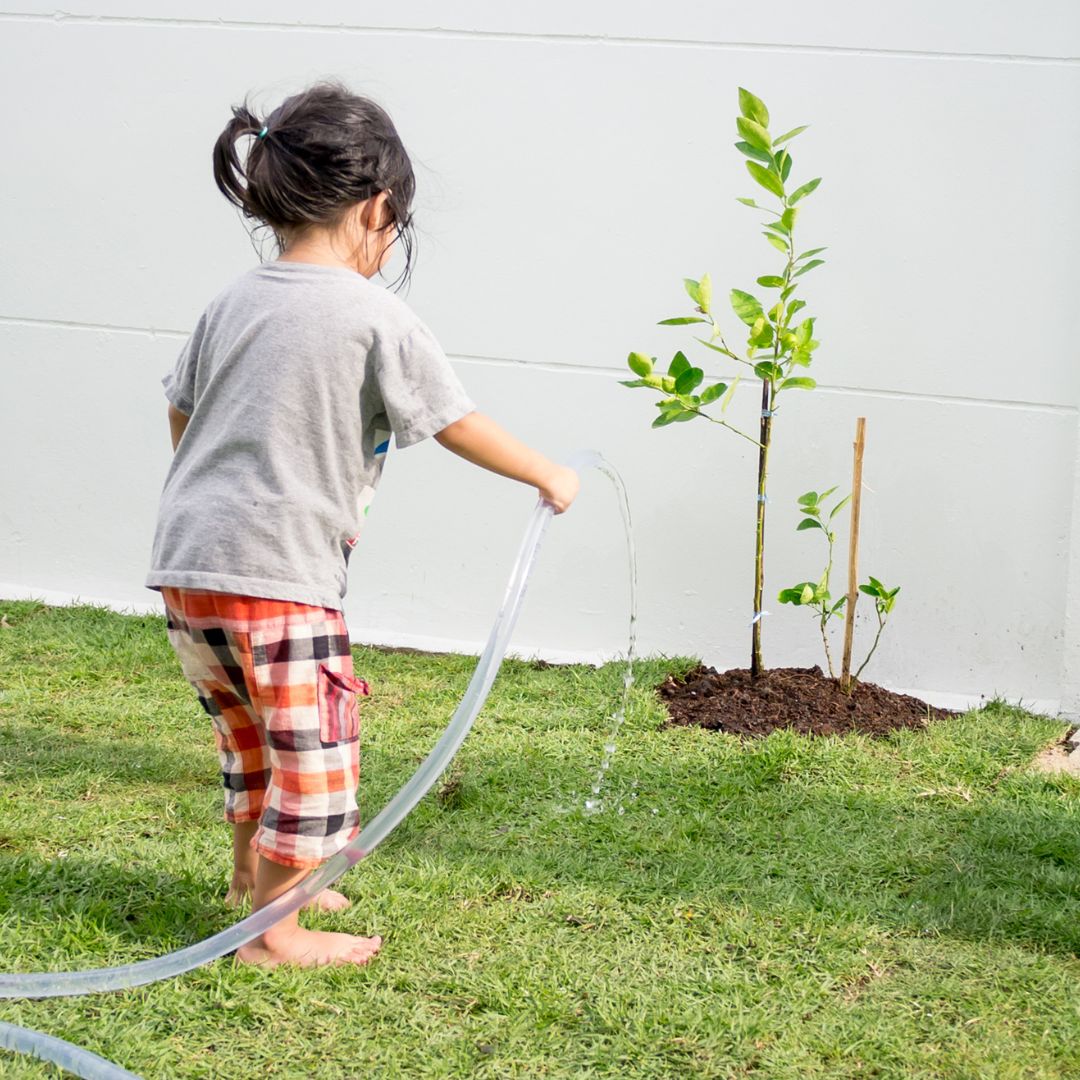 Raising Mindful Children Sustainably: Nurturing the Next Generation
