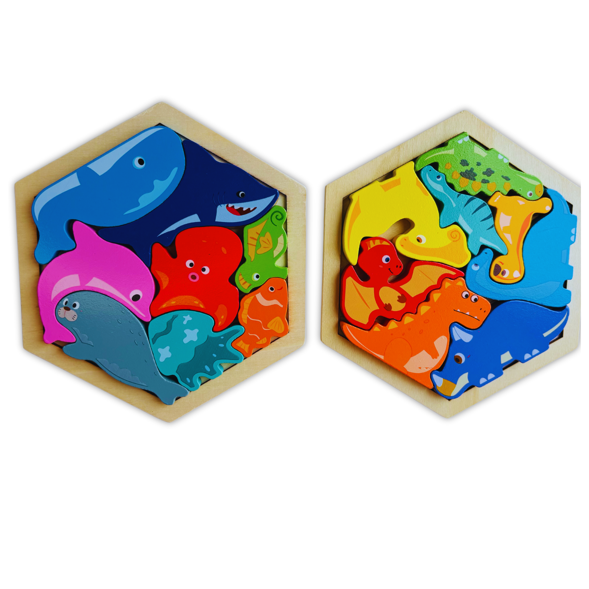 Hexagon Wooden Puzzle|Pack of 2|