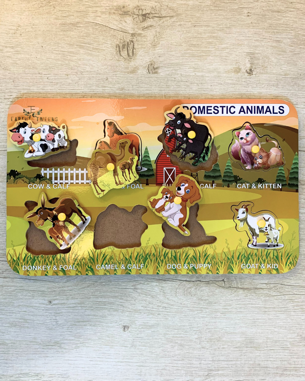 Domestic Animals Wooden Peg Puzzle