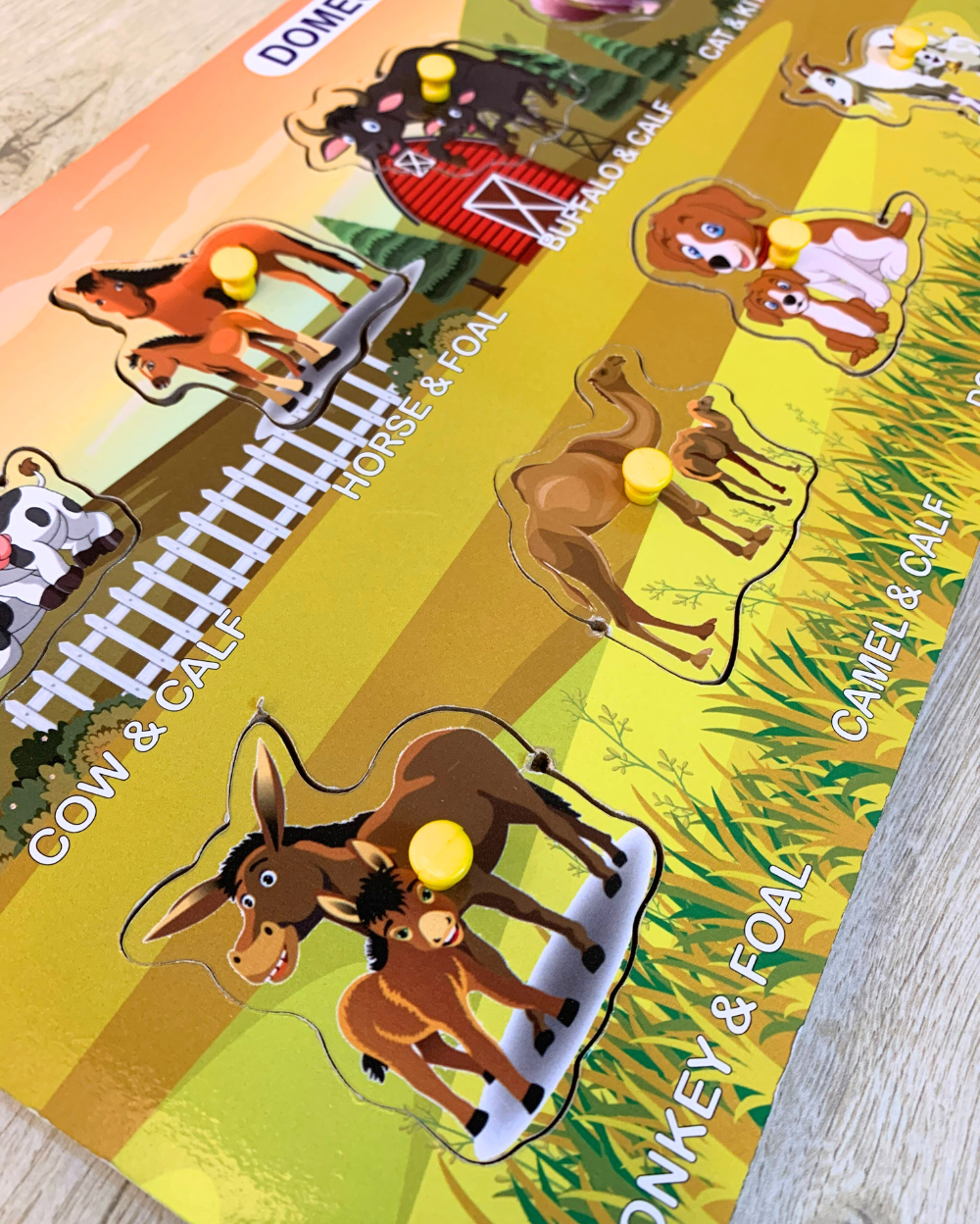 Domestic Animals Wooden Peg Puzzle