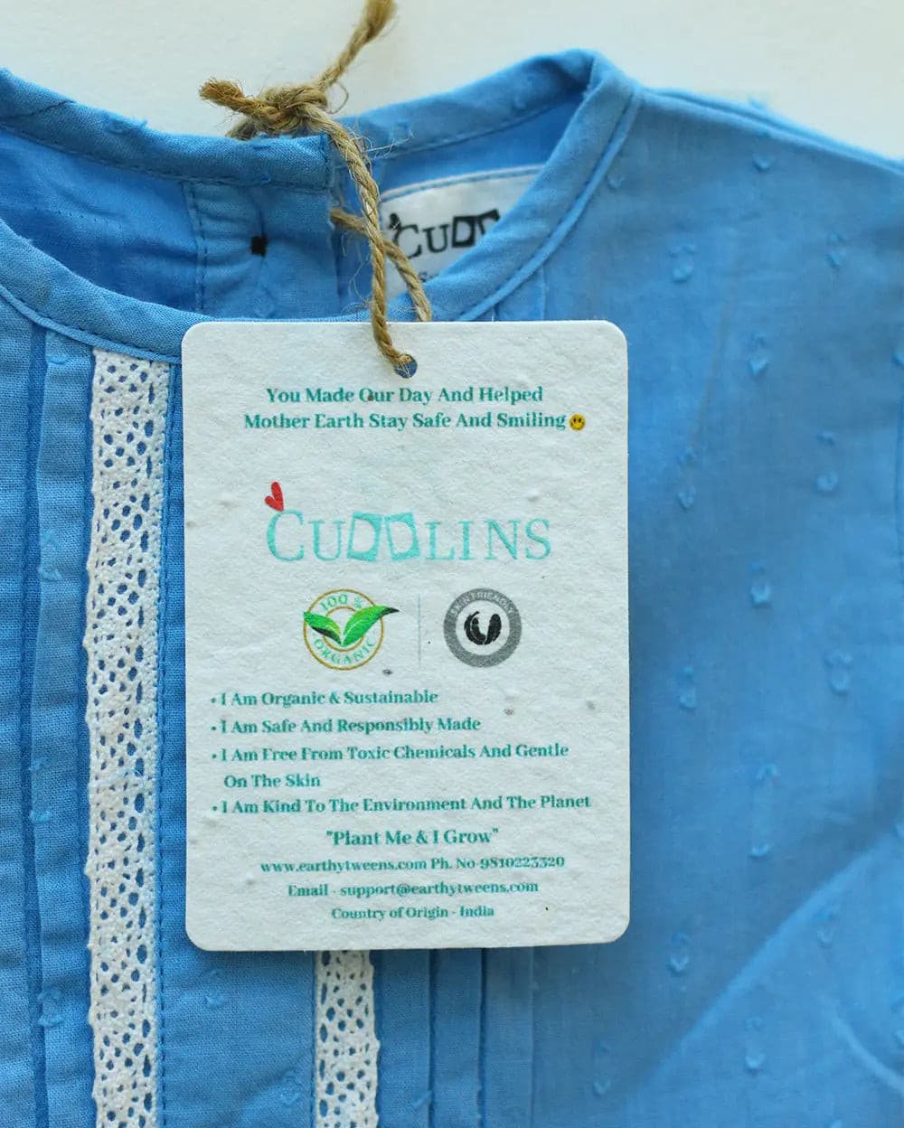 Baby Blue Picnic Frock Eartyhtweens