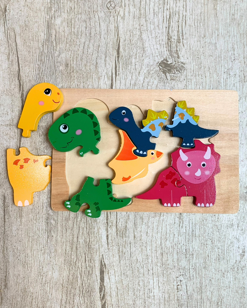 Dinosaur Jigsaw Puzzle