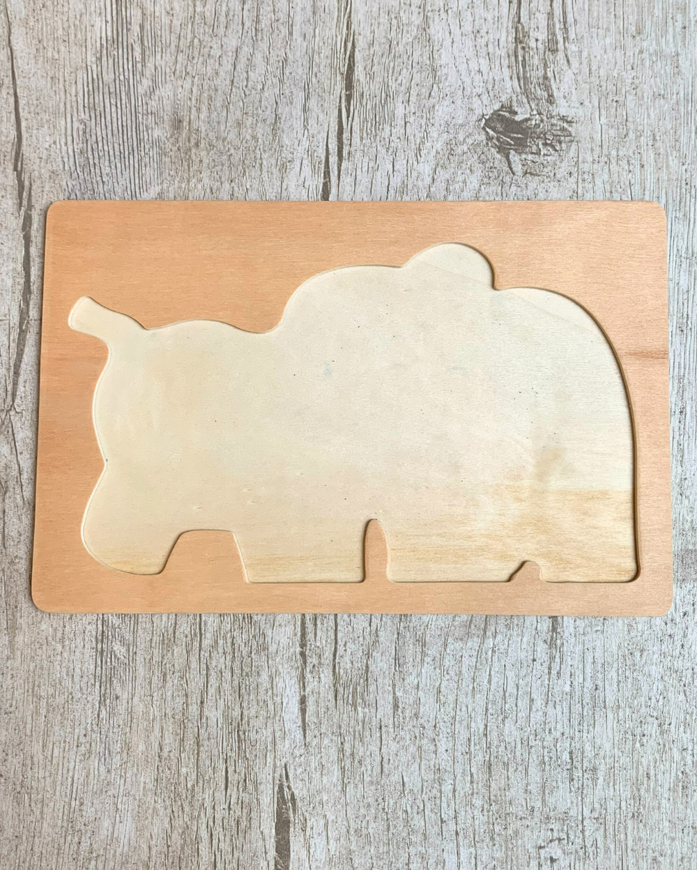 Elephant Family Jigsaw Puzzle