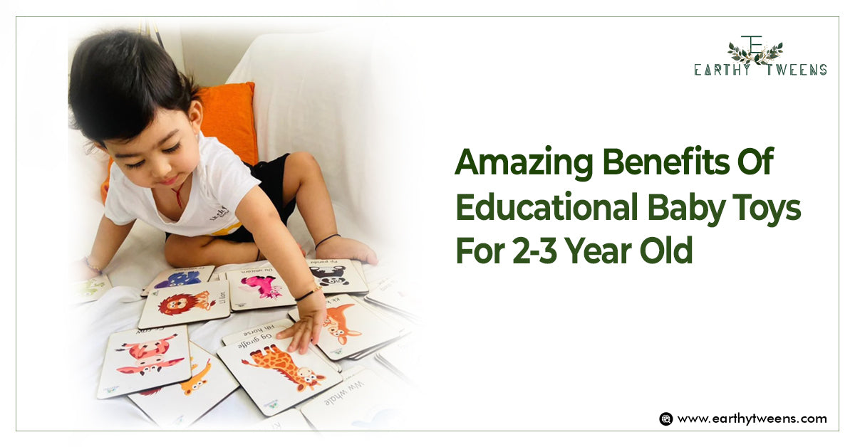 Amazing Benefits Of Educational Baby Toys For 2-3 Year Old
