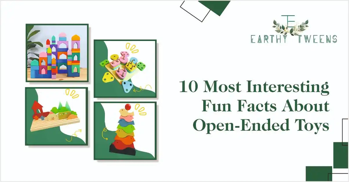 10 Most Interesting Fun Facts About Open Ended Toys