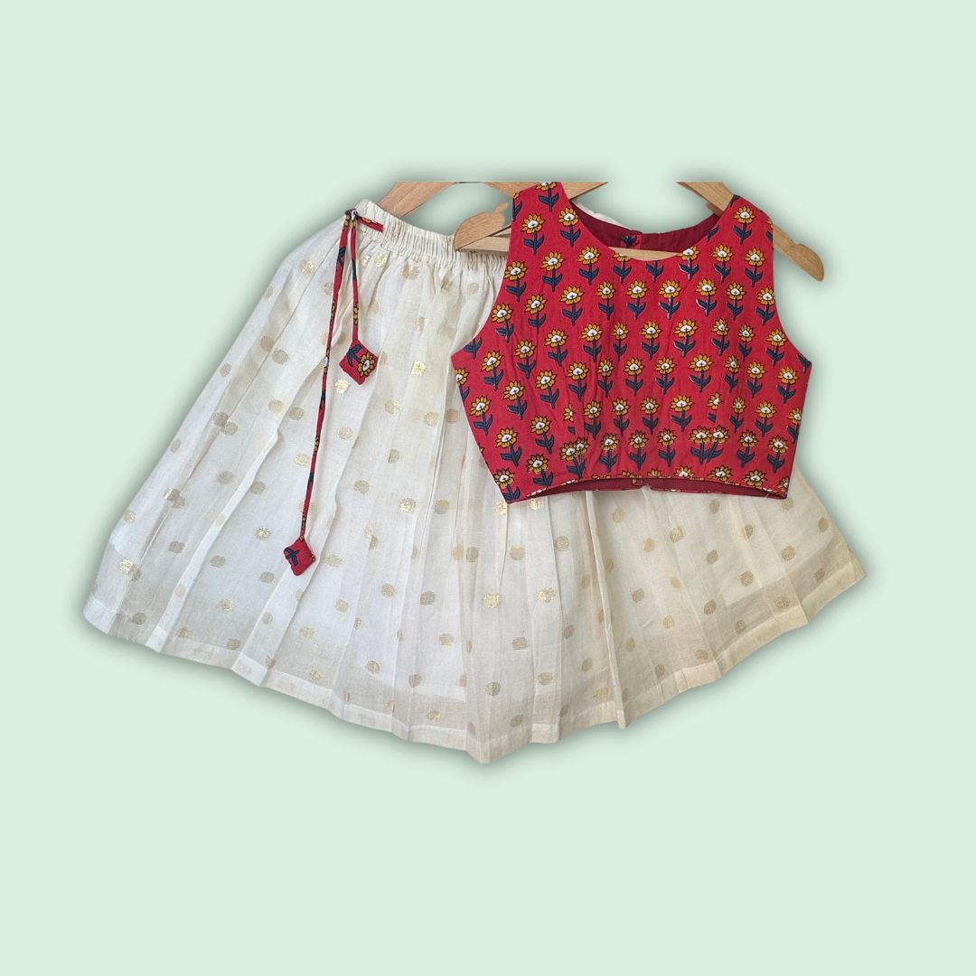 Zari Dreams Ghagra Set