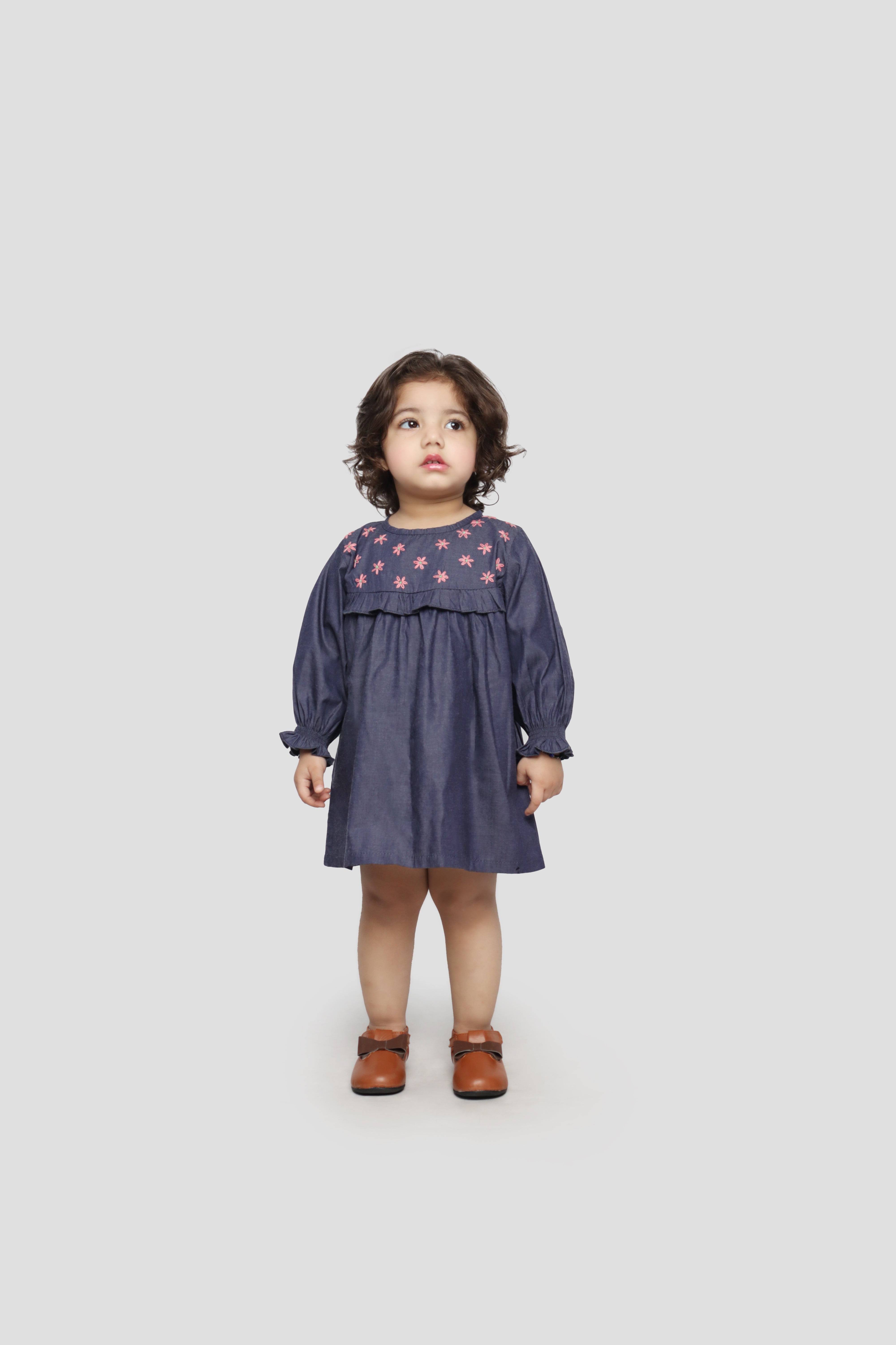 Charming Denim Dress with Floral Embroidery